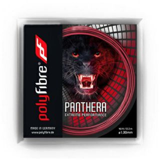 12mcut品 2セットPolyfibre Panthera1.30mm(ラケット)