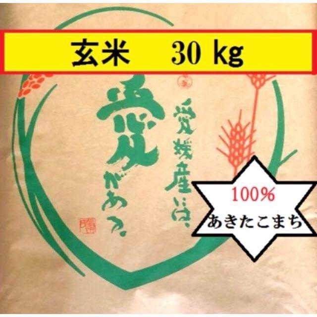 お米　H30　愛媛県産あきたこまち　玄米　30㎏ 食品/飲料/酒の食品(米/穀物)の商品写真