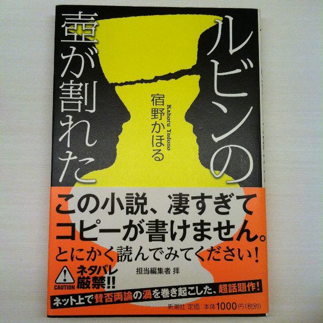 ルビンの壺が割れた　宿野かほる　 エンタメ/ホビーの本(文学/小説)の商品写真