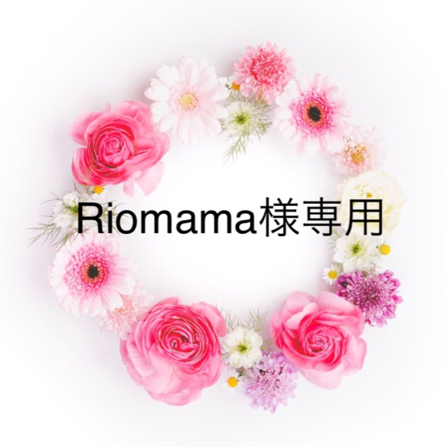 Riomama様専用⭐︎お弁当袋・ランチョンマット ハンドメイドのキッズ/ベビー(外出用品)の商品写真