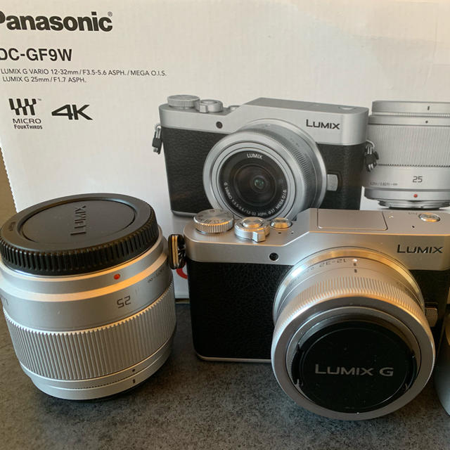 Panasonic  LUMIX DC-GF9W