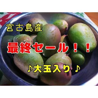 宮古島産　グリーンマンゴー　2.1キロ(野菜)