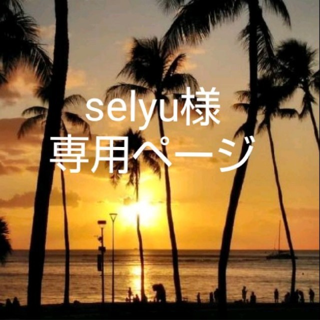 selyu様専用ページ-