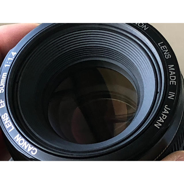 Canon(キヤノン)の美品 CANON EF 50mm F1.4 USM フード付 スマホ/家電/カメラのカメラ(レンズ(単焦点))の商品写真