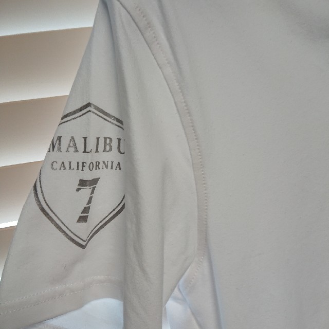 VIOLA RUMORE メンズのトップス(Tシャツ/カットソー(半袖/袖なし))の商品写真