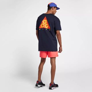 ナイキ(NIKE)のnike acg tシャツ(Tシャツ/カットソー(半袖/袖なし))