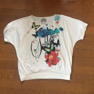 スカラー(ScoLar)のスカラー シャツ (Tシャツ(半袖/袖なし))