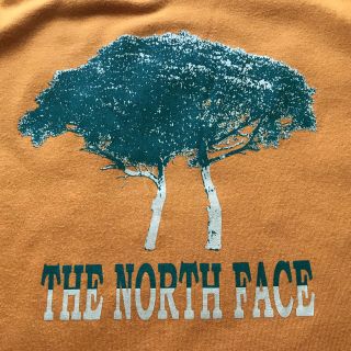 ザノースフェイス(THE NORTH FACE)のTHE NORTH FACE Tシャツ(Tシャツ/カットソー(半袖/袖なし))