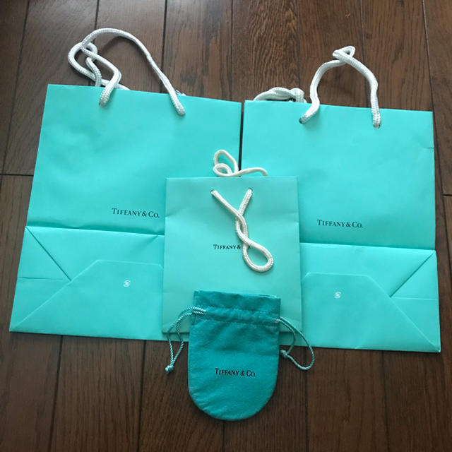 Tiffany & Co.(ティファニー)のティファニーショッパー・巾着 レディースのバッグ(ショップ袋)の商品写真