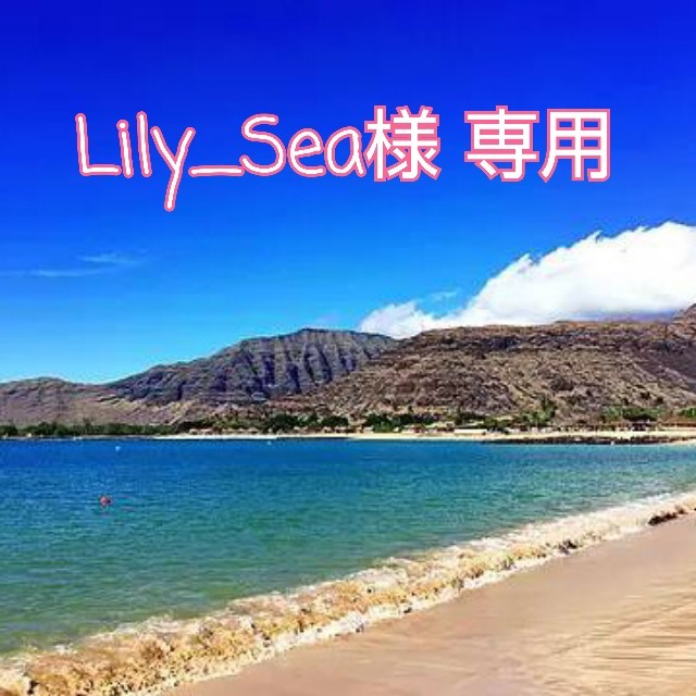 ダッフィー(ダッフィー)のLily_Sea様 専用 ハンドメイドのフラワー/ガーデン(リース)の商品写真