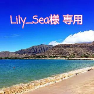 ダッフィー(ダッフィー)のLily_Sea様 専用(リース)