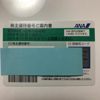 エーエヌエー(ゼンニッポンクウユ)(ANA(全日本空輸))のANA 株主優待券 1枚(その他)