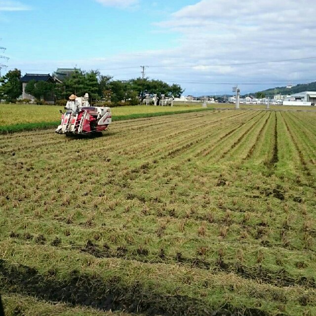 Ｈ30年産富山県産１等米(検査済)コシヒカリ玄米20㎏ 食品/飲料/酒の食品(米/穀物)の商品写真