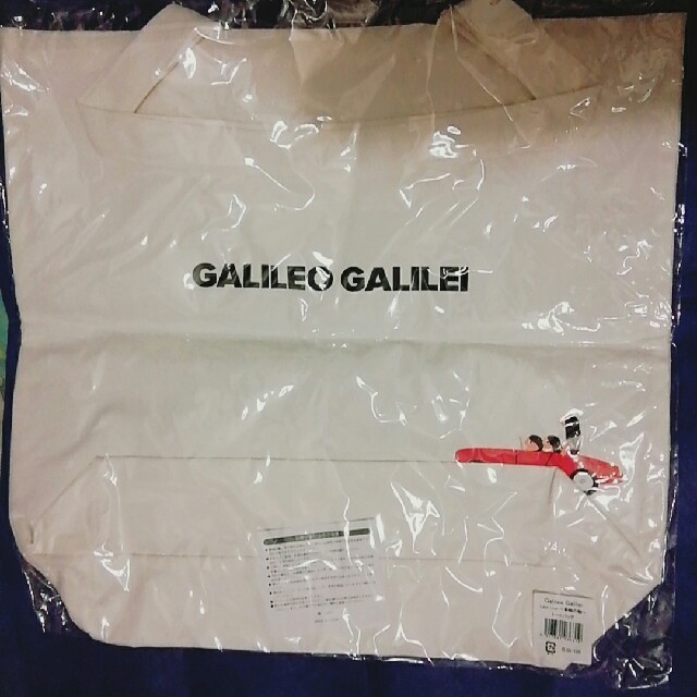 【rh様】Galileo Galilei ラストライブ トートバッグ エンタメ/ホビーのタレントグッズ(ミュージシャン)の商品写真