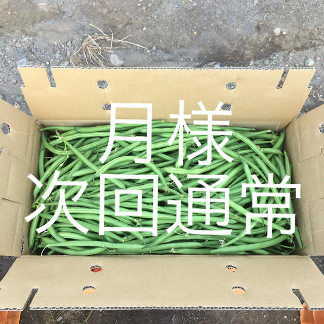 鹿児島産甘サヤインゲン2キロ^_^次回通常 食品/飲料/酒の食品(野菜)の商品写真