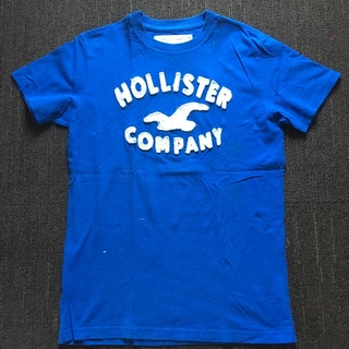 ホリスター(Hollister)のメンズ hollister Tシャツ xxl(Tシャツ/カットソー(半袖/袖なし))