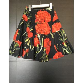 ドルチェアンドガッバーナ(DOLCE&GABBANA)のドルチェ&ガッバーナ スカート 美品(ひざ丈スカート)