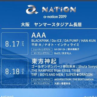 a-nation 大阪公演 2019チケット株主優先予約権 割引率20%(その他)