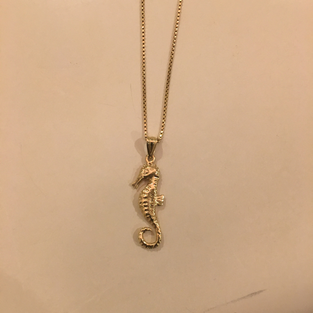Supreme - supreme シュプリーム ネックレス タツノオトシゴ Supreme - supreme シュプリーム ネックレス タツノオトシゴ