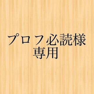 プロフ必読様専用(その他)