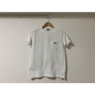 ラコステ(LACOSTE)のLACOSTE ラコステ Tシャツ(Tシャツ/カットソー(半袖/袖なし))