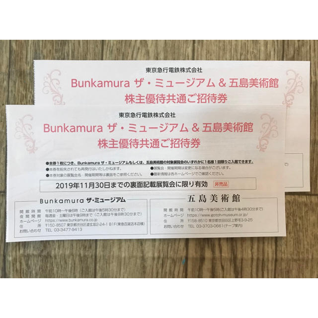 東急株主優待 Bunkamura ザ・ミュージアム 株主優待招待券 2枚組 チケットの施設利用券(美術館/博物館)の商品写真