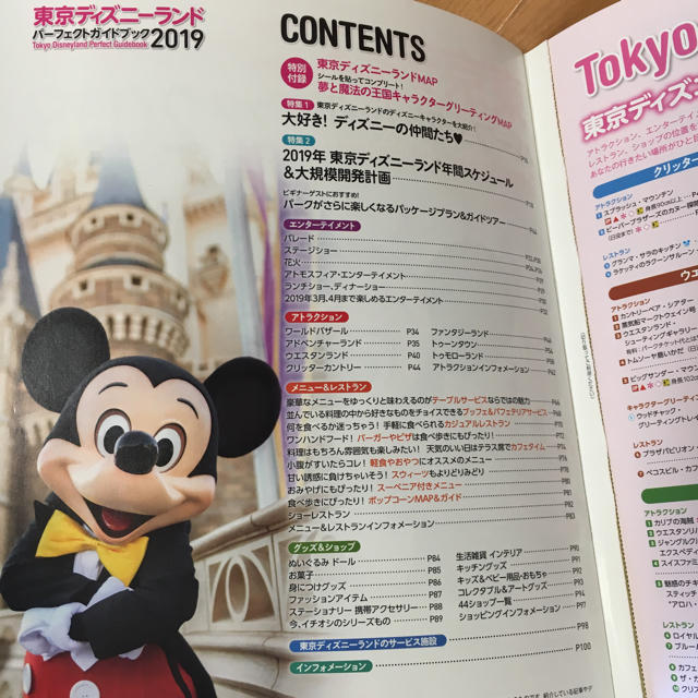 Disney(ディズニー)の東京ディズニーランド2019ガイドブック チケットの施設利用券(遊園地/テーマパーク)の商品写真