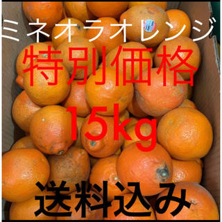 アメリカ産 訳あり傷ありミネオラオレンジ約15kg(フルーツ)