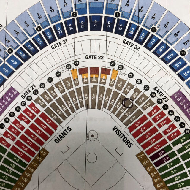 読売ジャイアンツ(ヨミウリジャイアンツ)の巨人vsヤクルト 東京ドーム スターシートペアチケット チケットのスポーツ(野球)の商品写真