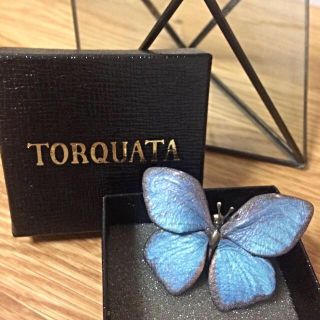 アッシュペーフランス(H.P.FRANCE)のTORQUATA蝶ピアス(ピアス)