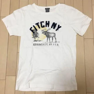 アバクロンビーアンドフィッチ(Abercrombie&Fitch)のアバクロンビー&フィッチ M(Tシャツ/カットソー(半袖/袖なし))
