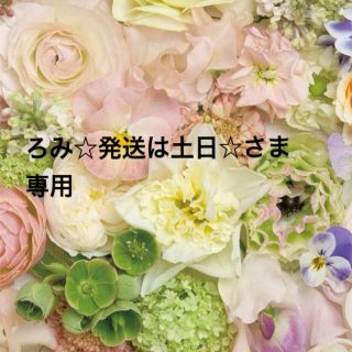 ろみ☆発送は土日☆さま専用ページ♡(つけ爪/ネイルチップ)