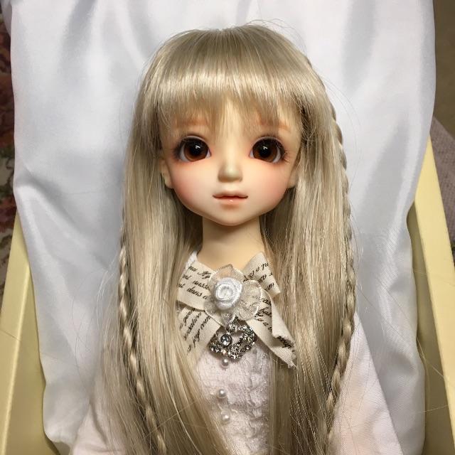 VOLKS(ボークス)のHaru様専用 エンタメ/ホビーのおもちゃ/ぬいぐるみ(その他)の商品写真