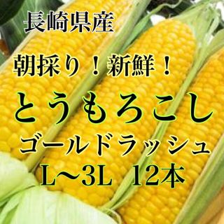 朝採りトウモロコシ L〜3L 12本 水曜日発送予定(野菜)