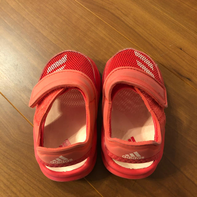 adidas(アディダス)の専用 アディダス  水陸両用 サンダル 12cm キッズ/ベビー/マタニティのベビー靴/シューズ(~14cm)(サンダル)の商品写真