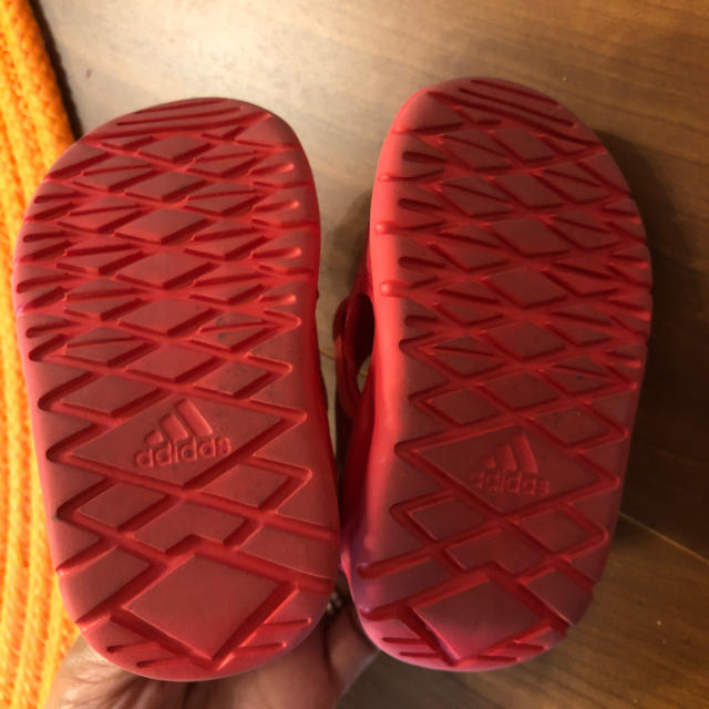 adidas(アディダス)の専用 アディダス  水陸両用 サンダル 12cm キッズ/ベビー/マタニティのベビー靴/シューズ(~14cm)(サンダル)の商品写真