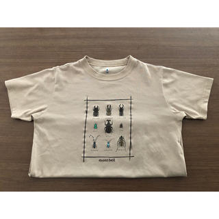 モンベル(mont bell)のmont-bell   昆虫Tシャツ  150(Tシャツ/カットソー)