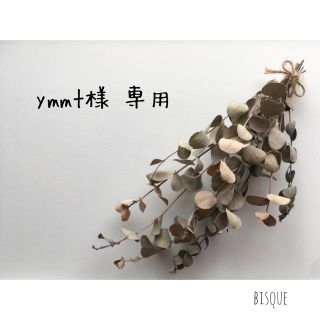 ymmt様 専用(その他)