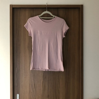 カルバンクライン(Calvin Klein)のCalvin Klein ロゴT スモーキーピンク(Tシャツ(半袖/袖なし))