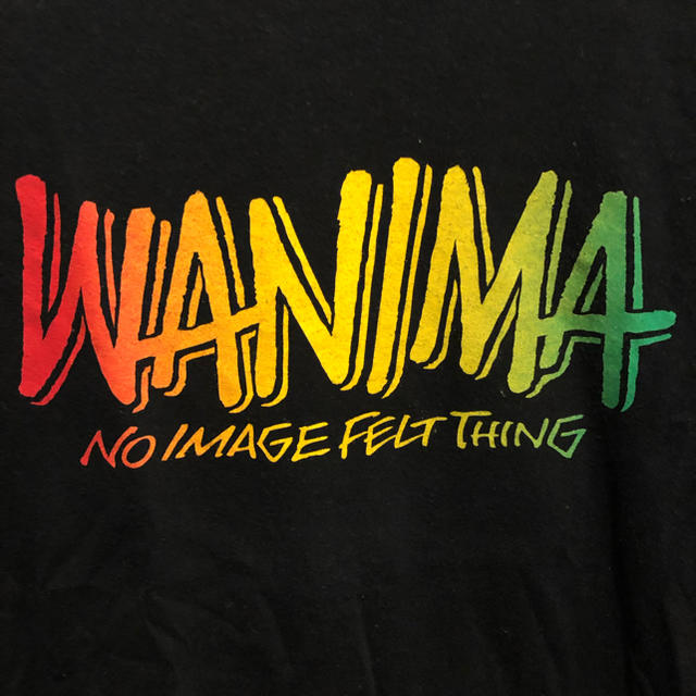 WANIMA(ワニマ)のWANIMA バンドT エンタメ/ホビーのタレントグッズ(ミュージシャン)の商品写真