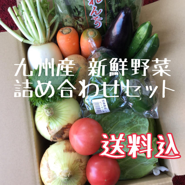 九州産 新鮮野菜 詰め合わせセット 食品/飲料/酒の食品(野菜)の商品写真