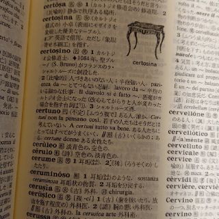 研究社 露和辞典 和露辞典セット ロシア語 使用感少ない | 研究社露和