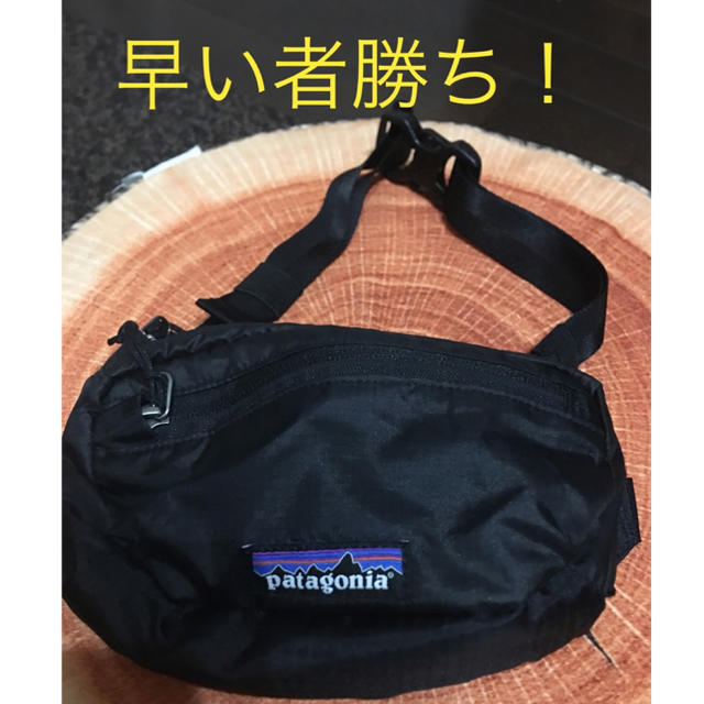 patagonia(パタゴニア)の試着のみ！パタゴニア patagonia ミニヒップバッグ メンズのバッグ(ウエストポーチ)の商品写真