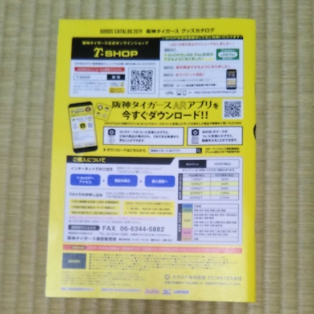 阪神タイガース(ハンシンタイガース)の阪神タイガース　グッズ　カタログ　2019 スポーツ/アウトドアの野球(その他)の商品写真