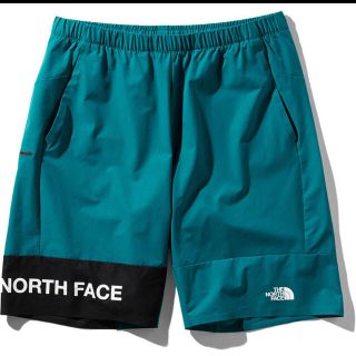 ザノースフェイス(THE NORTH FACE)のTHENORTHFACE  ノースフェイス    ショートパンツM  完売品(ショートパンツ)