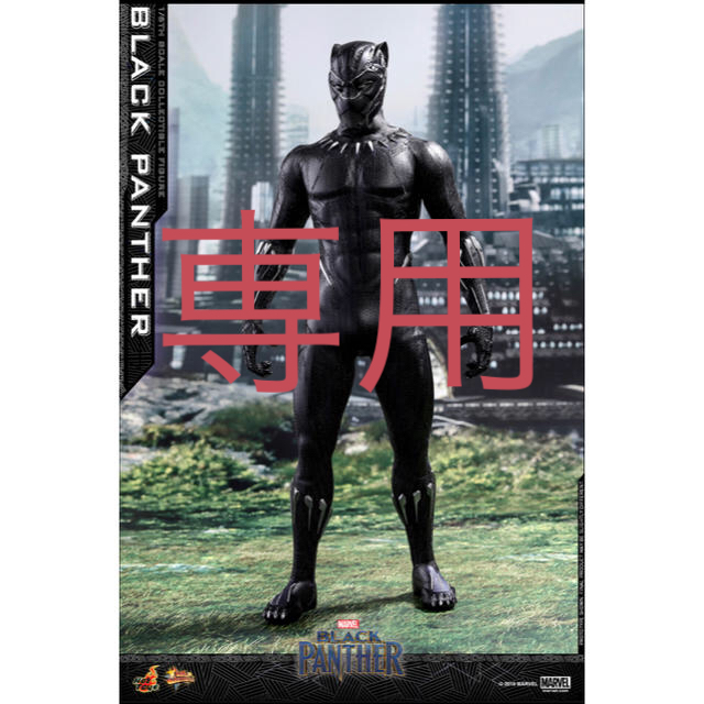 MARVEL - 【F様専用】ホットトイズ ブラックパンサーの通販 by