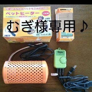 アサヒ(アサヒ)のアサヒペットヒーター100W＆サーモスタット(小動物)