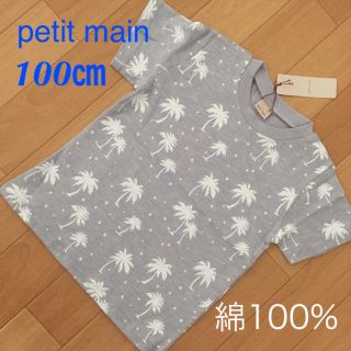 プティマイン(petit main)の新品  petit main 半袖 総柄 Tシャツ 100㎝ (Tシャツ/カットソー)