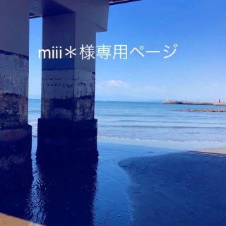 miii＊様専用のページになります(その他)