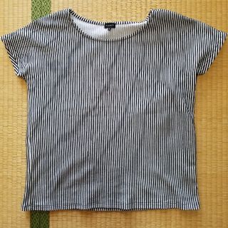 タルボット(TALBOTS)のトップス(Tシャツ(半袖/袖なし))